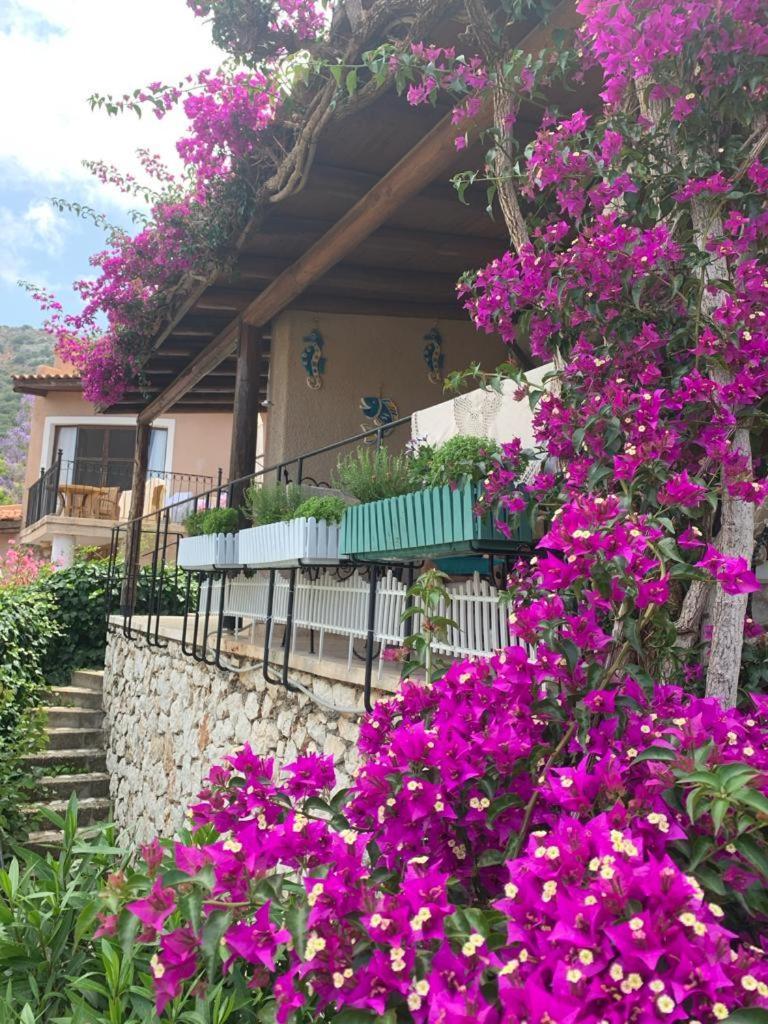 Sea View Bougainvillea 52 Kalkan Exteriör bild